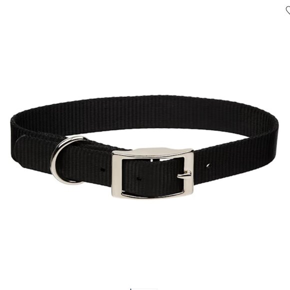 Dog Collar: NWT Black Pin Buckle, Medium or Large - Picture 1 of 1